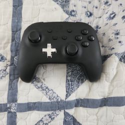 Nintendo Switch Controller