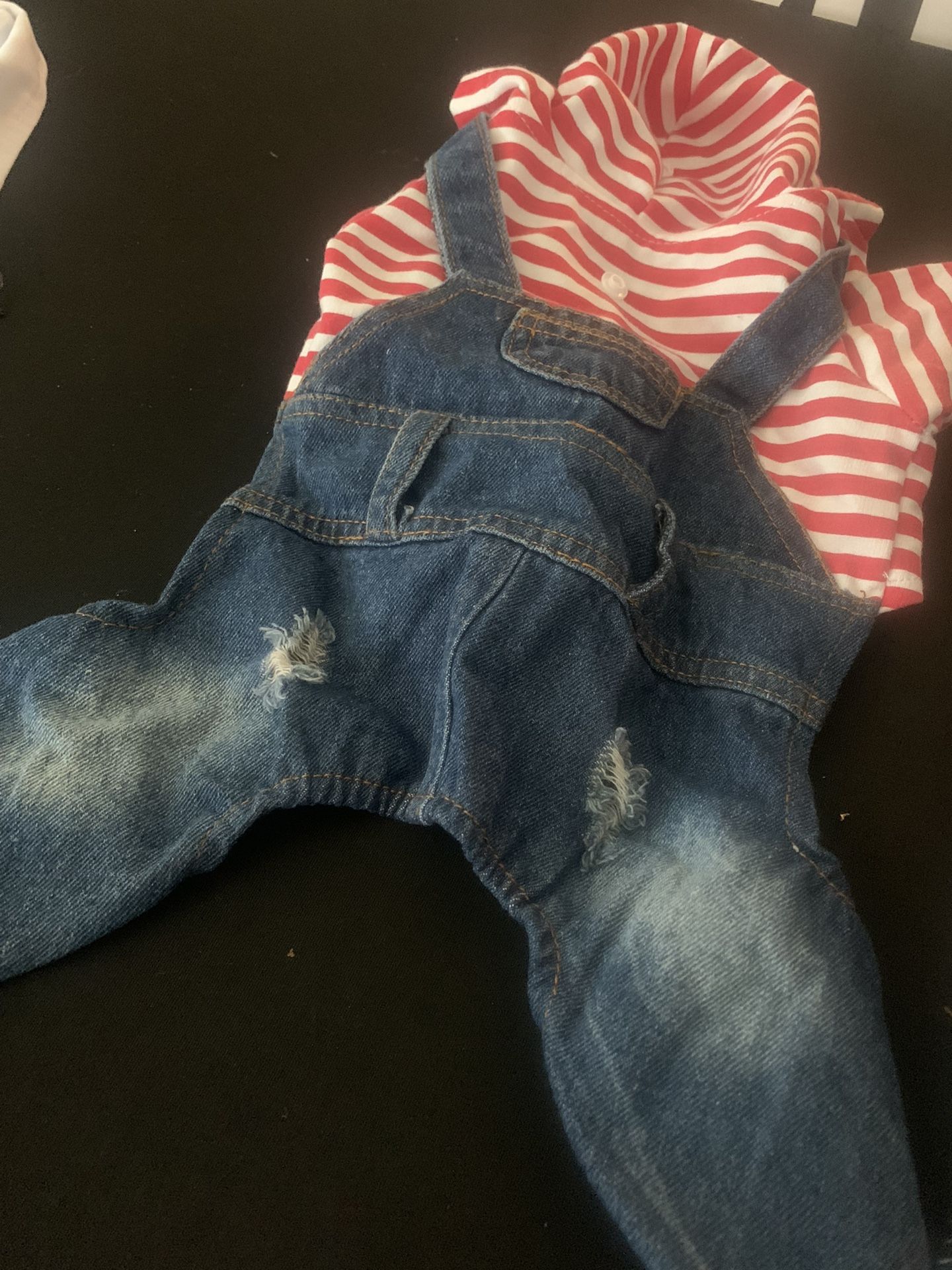 Infant Pet Accessories