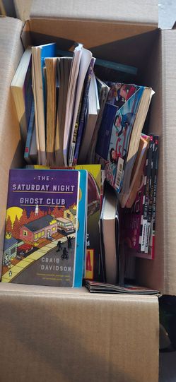 Bulk Lot of Middle Grade & Chapter Books (Novels)