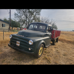 1951 Dodge B-3 Pickup