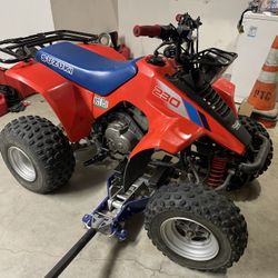 1987 Suzuki Quad Runner LT230E