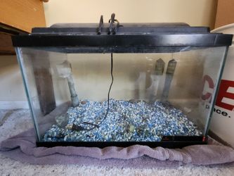 10 Gallon Aquarium
