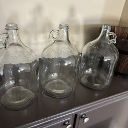 Glass jugs