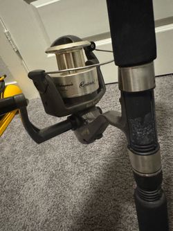 Fishing pole
