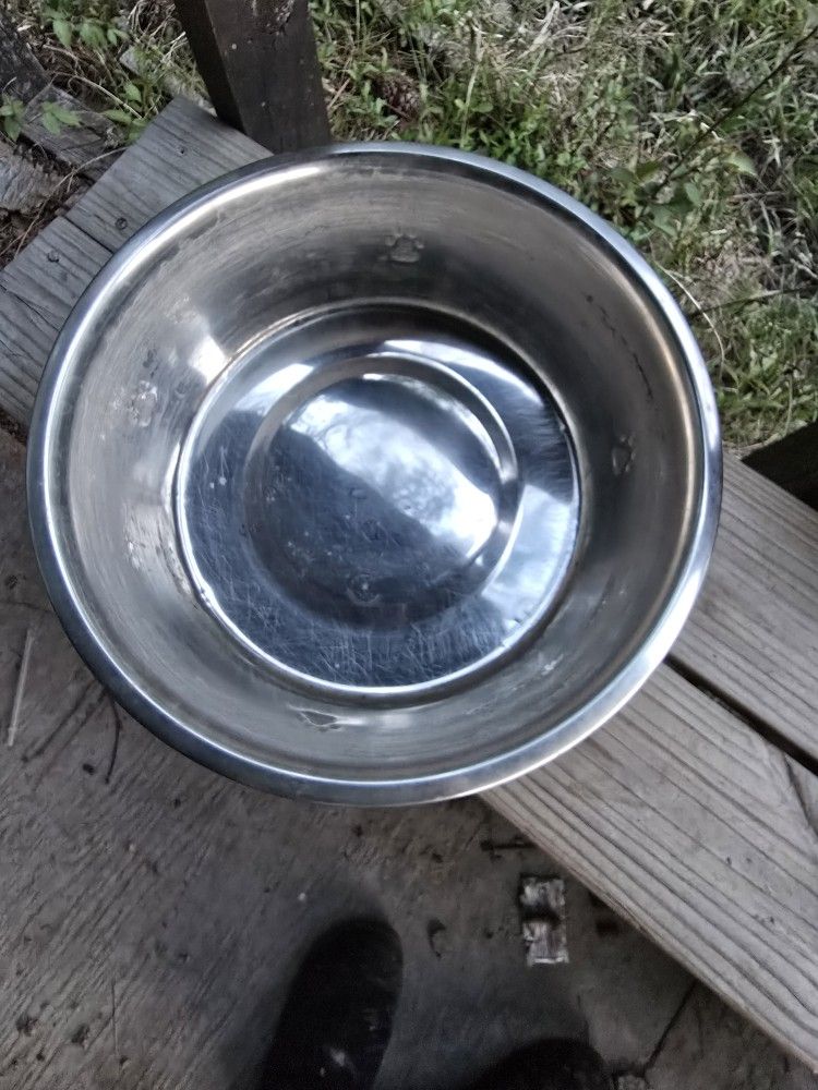 Big Dog Bowl