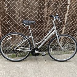 Raleigh Detour step-thru city bike - 19” / large frame - READ listing