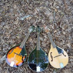 Brand New Mandolin, Your Choice $145