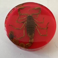 Scorpion Stinger Pogs slammer poker card Guard Aliens Rare Red