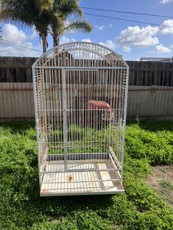 Big Bird Cage