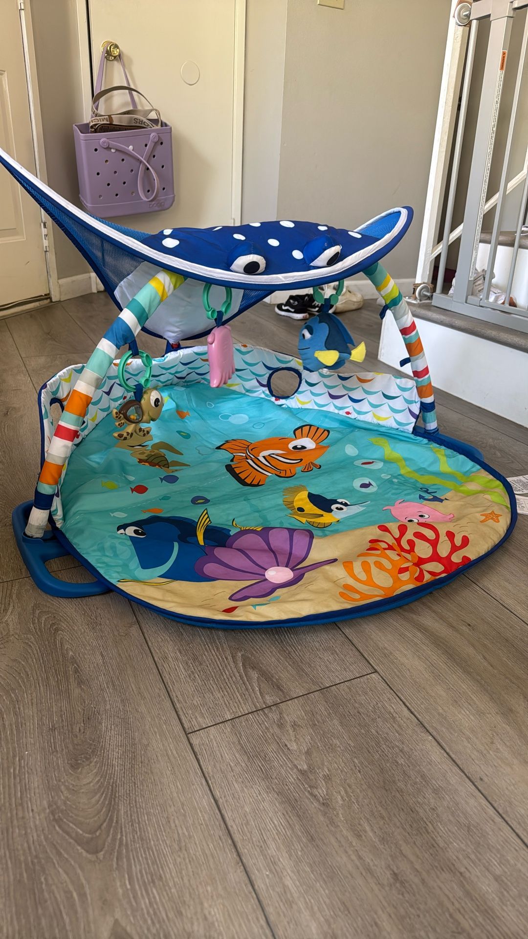 Finding Nemo Activity