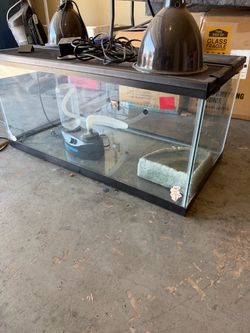 Reptile Tank 40 gallon
