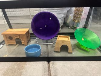Everything for a hamster
