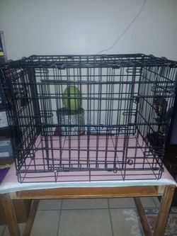 Wire Dog Cage Its Gotta Go