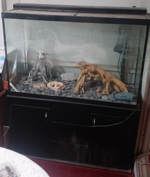 Fish Tank