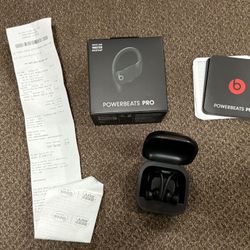 Powerbeats Pro Earbuds