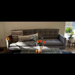 Mid Century Modern Petrie Sofa - Crate and Barrel
