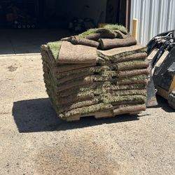 Sod Pallet 