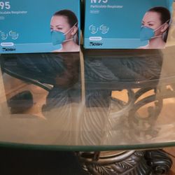 N95 Masks
