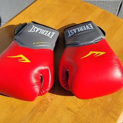 Everlast 14 oz Gloves