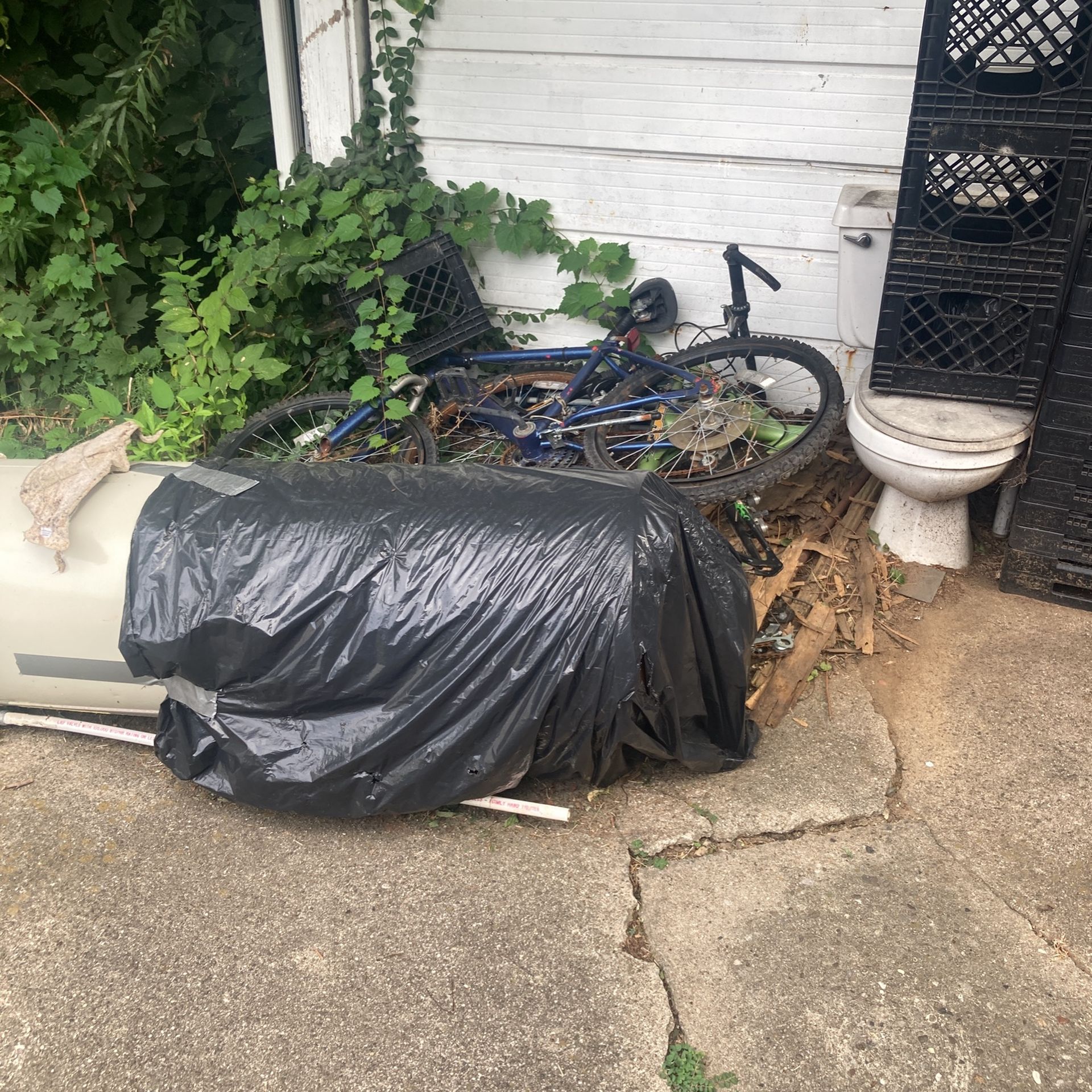 FREEEEE JUNK