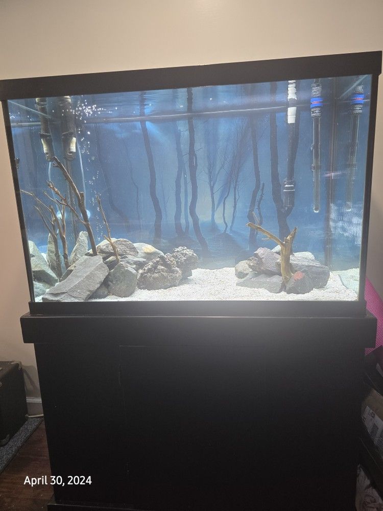 Fish Tank 60 Gallon with Wooden Stand And Extras