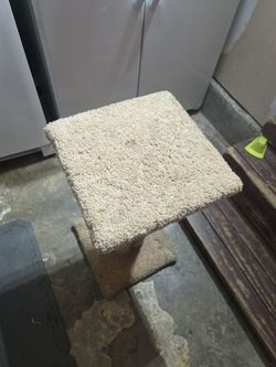FREE Cat Scratcher
