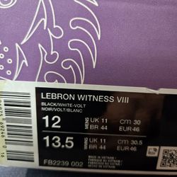 Nike Basketball LeBron Witness VIII size 12 New