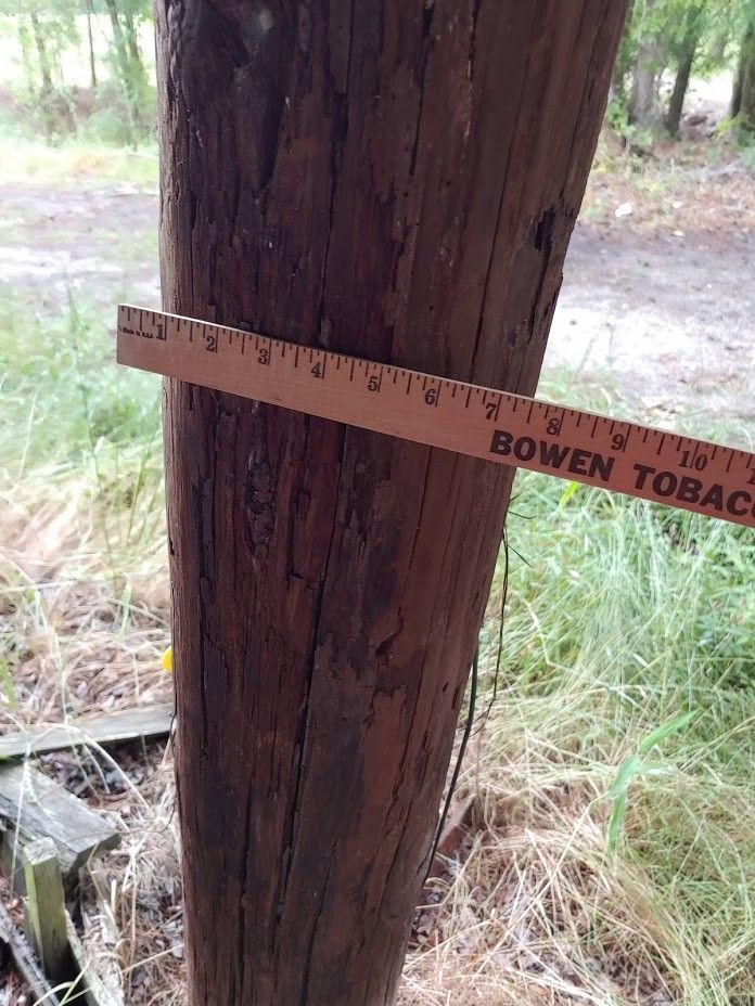 Pine Boards Old Tobacco Barns for Sale in Marion, SC OfferUp
