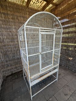 Bird Cage