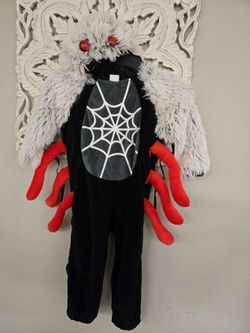 2/3 spiader costume