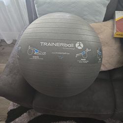 Trainer Ball