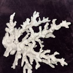 White Coral Reef Decoration 