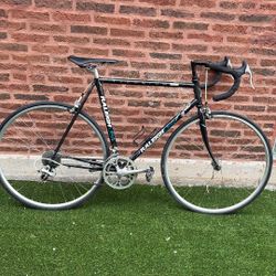 Road Bike  Raleigh USA  16 Speeds