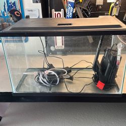 Fish Tank
