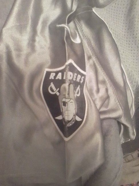 Charles Woodson Grey Nike Raiders Authentic Jersey-_-_- for Sale in  Phoenix, AZ - OfferUp