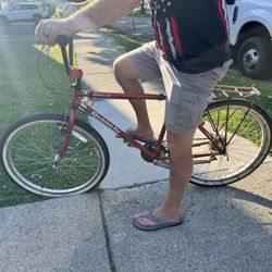 Blanche Ocelot Bicycle 