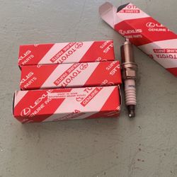 Spark Plugs
