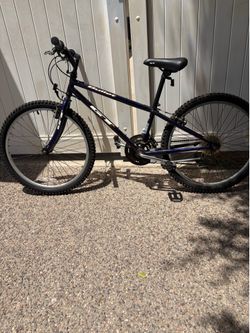 GT Bullet youth bike