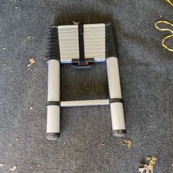 Telescope Ladder 