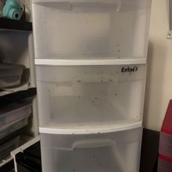 Free: Storage Bin