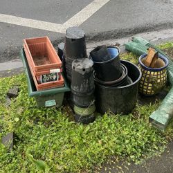 Free Nursery Pots And Wooden Stakes
