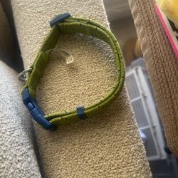 Dog Collar 