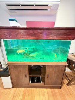 Fish Tank Aquarium with Stand and hood cover