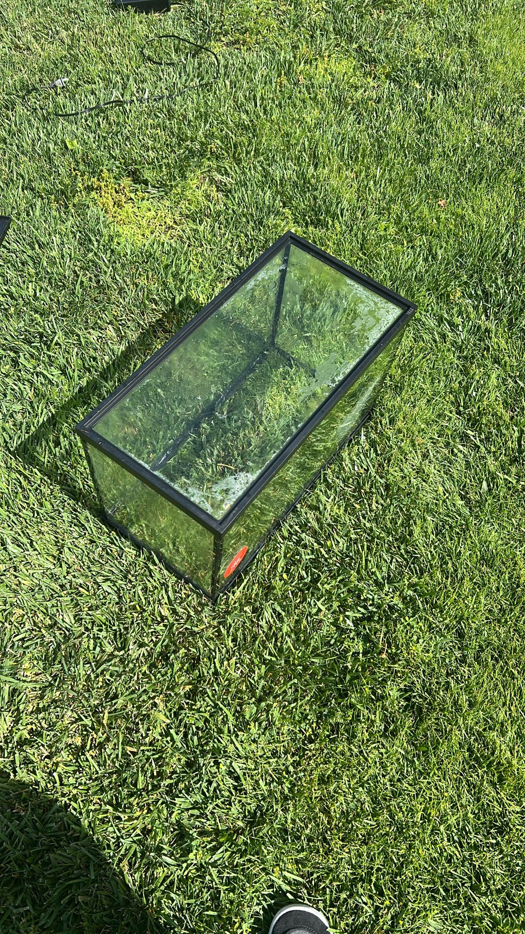 10 Gallon Fish Tank With Decoration
