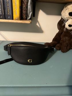 Coach Fanny pack