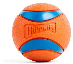 Dog Toy