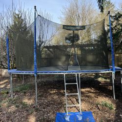 Trampoline basketball Hoop Ladder & Safety net