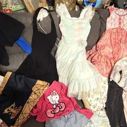 Preowned 15 pcs girls size 7/8 clothing in great condition. Frozen,zunie, Joana Mitchell, Windsor Bratz,….. jeans have self made cuts at knee area . l