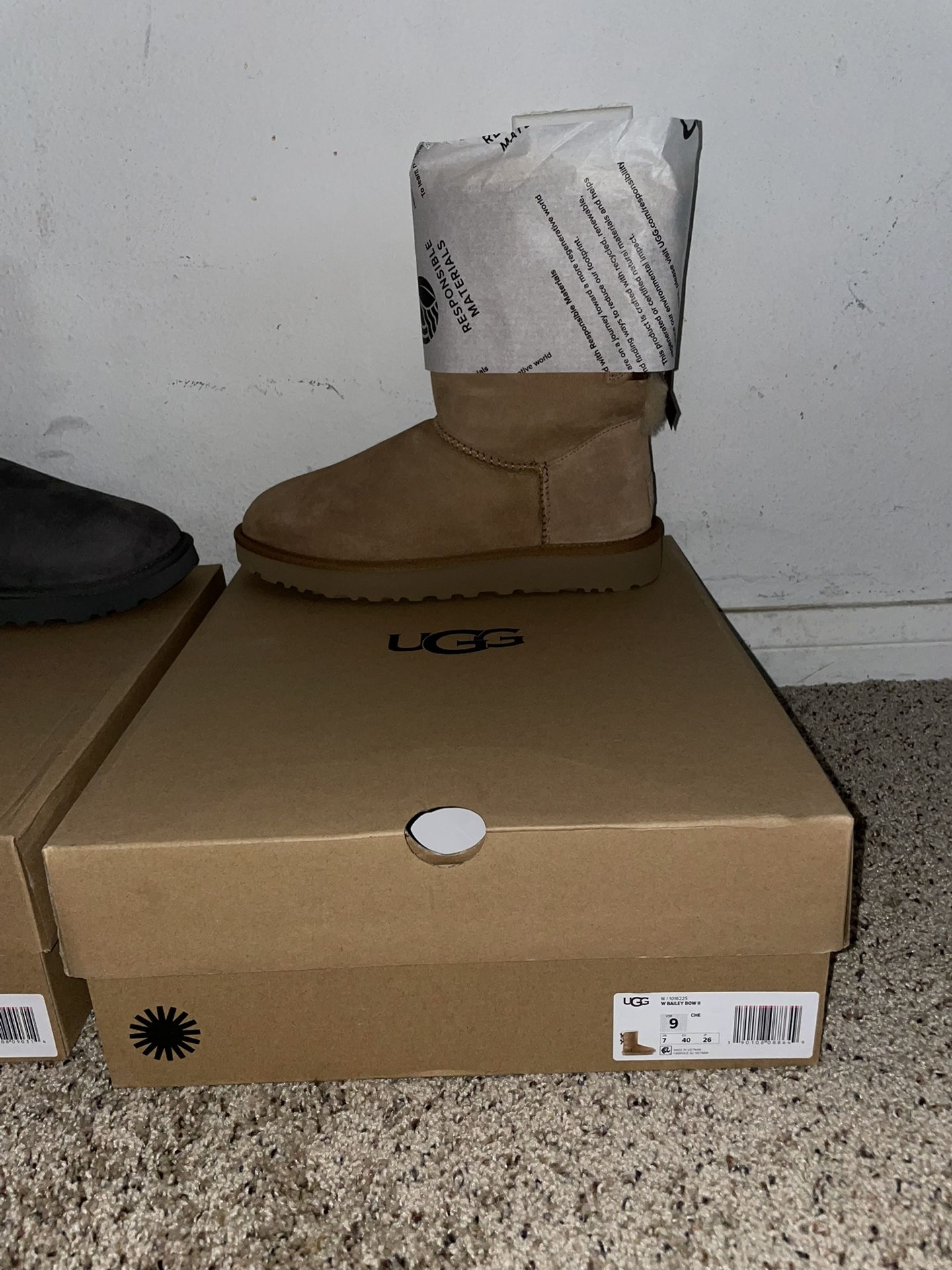 Uggs Boots