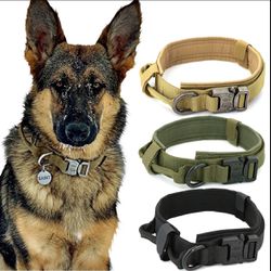 Dog Collar - 100 available 